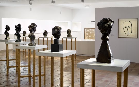 Vue de l'exposition "Matisse Métamorphoses"