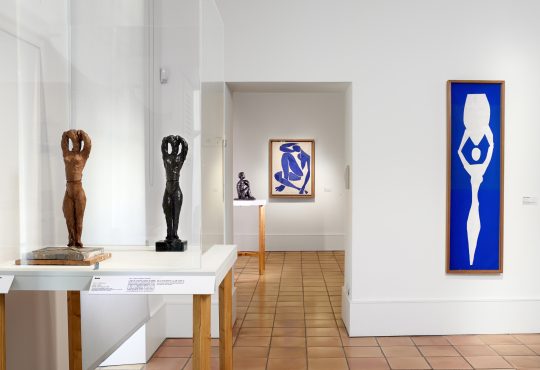 Vue de l'exposition "Matisse Métamorphoses"