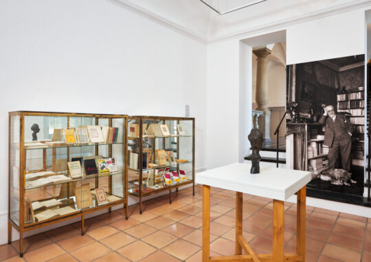 La bibliothèque de Matisse, exposition dossier "Matisse et le livre" | © Succession H. Matisse pour les œuvres de l'artiste | Photo © François Fernandez