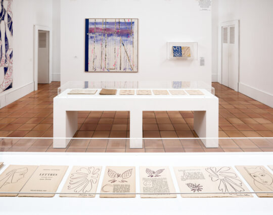 Les livres illustrés de Matisse dans l'exposition dossier "Matisse et le livre" | © Succession H. Matisse pour les œuvres de l'artiste | Photo © François Fernandez