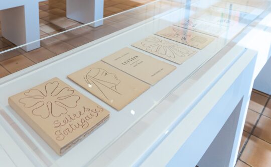 "Lettres portugaises" dans l'exposition dossier "Matisse et le livre" © Succession H. Matisse | Photo © Ville de Nice - J.V.