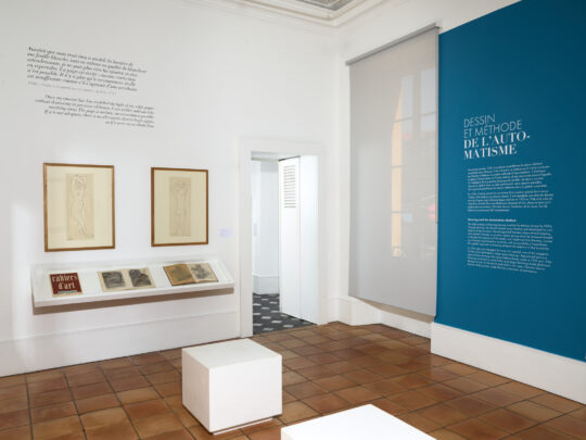 Vue de l'exposition "Matisse années 1930", Musée Matisse Nice | Photo © François Fernandez | © Succession H. Matisse pour les œuvres de l'artiste