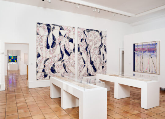 "Agnès Thurnauer. On se retrouve chez toi" | © Adagp, Paris, 2022 | © Succession H. Matisse pour les œuvres de l'artiste | Photo © François Fernandez