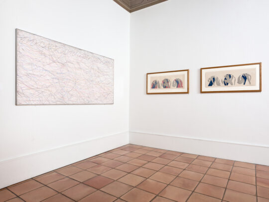 "Agnès Thurnauer. On se retrouve chez toi" | © Adagp, Paris, 2022 | © Succession H. Matisse pour les œuvres de l'artiste | Photo © François Fernandez