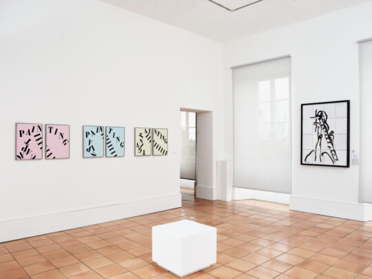"Agnès Thurnauer. On se retrouve chez toi" | © Adagp, Paris, 2022 | © Succession H. Matisse pour l'œuvre de l'artiste | Photo © François Fernandez