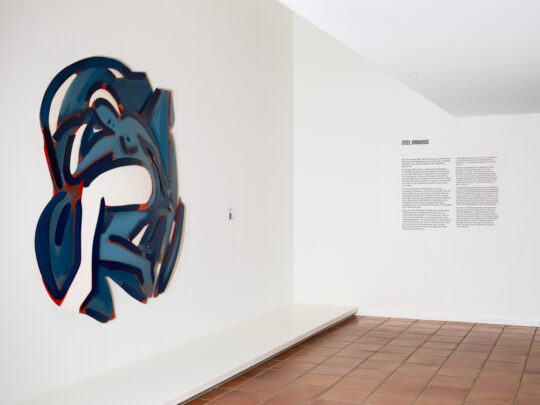 Vue de l'exposition "Tom Wesselmann. After Matisse" | © Estate of Tom Wesselmann, Adagp, Paris, 2023 | Photo © François Fernandez