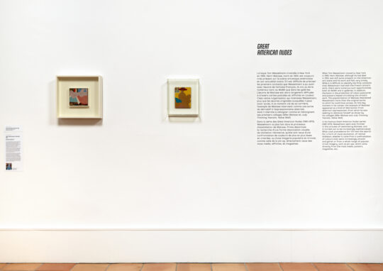 Vue de l'exposition "Tom Wesselmann. After Matisse" | © Estate of Tom Wesselmann, Adagp, Paris, 2023 | Photo © François Fernandez