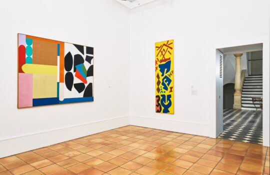 Vue de l'exposition "Shirley Jaffe. Avant et après Matisse", Musée Matisse Nice | Photo © François Fernandez | © Adagp, Paris, 2023