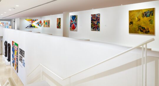 Vue de l'exposition "Shirley Jaffe. Avant et après Matisse", Musée Matisse Nice | Photo © François Fernandez | © Adagp, Paris, 2023