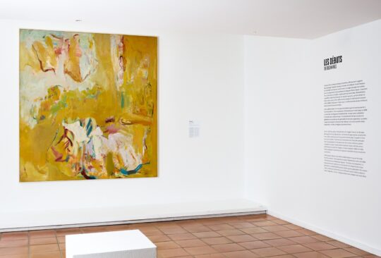 Vue de l'exposition "Shirley Jaffe. Avant et après Matisse", Musée Matisse Nice | Photo © François Fernandez | © Adagp, Paris, 2023