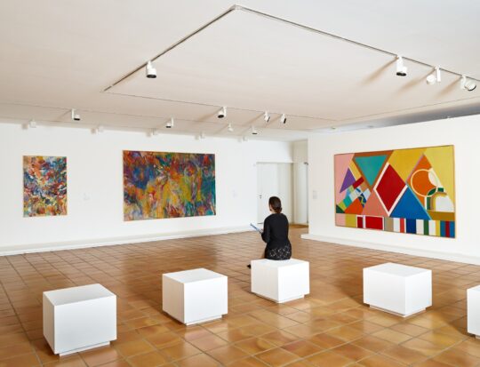 Vue de l'exposition "Shirley Jaffe. Avant et après Matisse", Musée Matisse Nice | Photo © François Fernandez | © Adagp, Paris, 2023