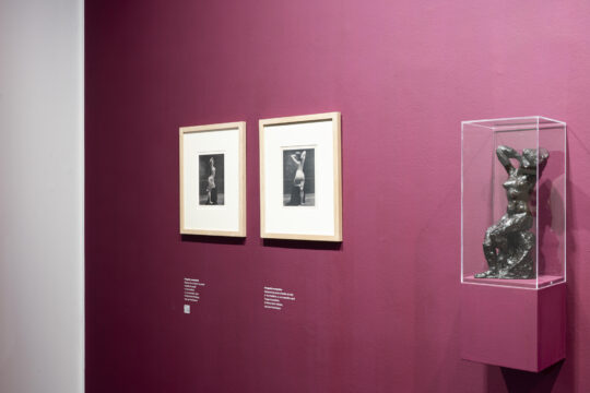 Vue de l'exposition "Matisse Metamorfosi", MAN, Nuoro | © Succession H. Matisse pour les œuvres de l'artiste | Photo © MAN - Alessandro Moni