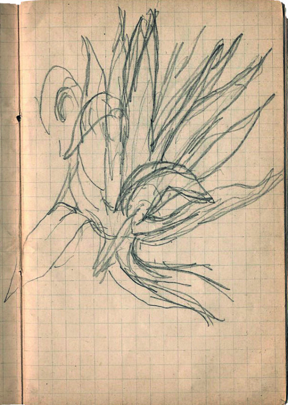 Carnet à dessins de Matisse, Collioure, 1905 Collection particulière